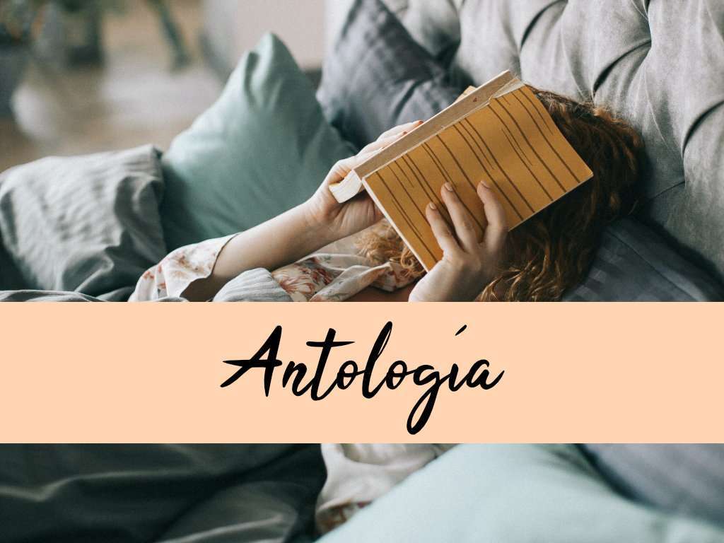 Antología qué es